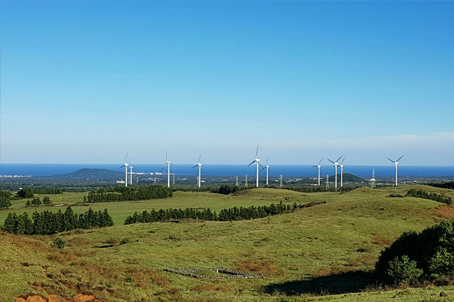 [TC-제주] 해바라기와 함께하는 추자도(제주올레18-1, 2코스)와 비양도 2박3일