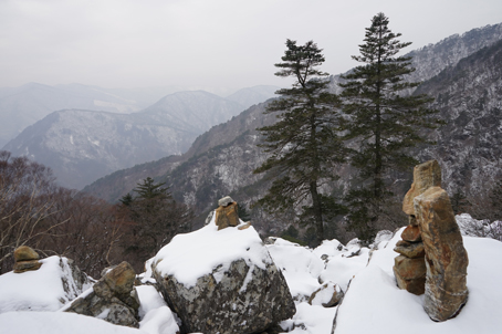 [강원] 리무진버스 - 정선과 강릉의 경계인 노추산, 모정탑 눈꽃 트래킹(중식제공) 당일
