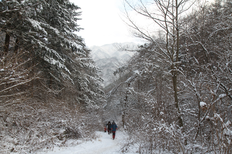 [충북] 리무진버스 - 겨울산행의 묘미- 칼바람이 그리운 소백산 정상 비로봉 눈꽃 트래킹 당일