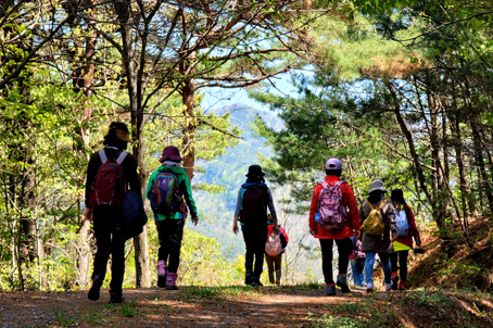 [충남] 리무진버스-가시면 넘 좋아하는 보령 통점절 가는길 /무창포해변/성주산 휴양림 당일