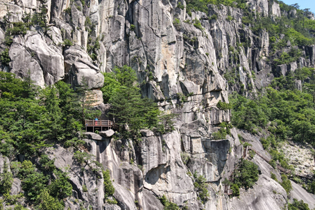 [강원] 리무진버스-반드시 가봐야할 곳 . 동해 두타산 마천루 협곡 트래킹(해물탕 제공) 당일