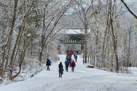 [강원] 리무진버스 - 무념과 명상의길-인제 백담사 수렴동 계곡 눈꽃 여행(중식제공) 당일