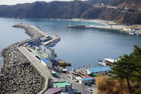 [강원] 6기-해파랑길 31코스 트래킹 당일