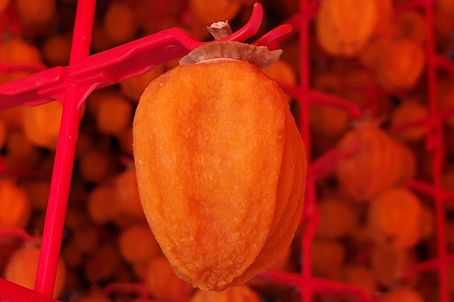 [특가] 축제장 상품권 20,000원 증정 - 함양 서암정사/개평한옥마을/함양 곶감축제 당일