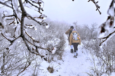 [강원] 겨울만 기다렸다 - 계방산 눈꽃 트래킹(중식제공) 당일