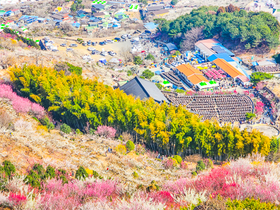 [전남] 꽃밥 먹으러 갑니다 - 광양매화와 구례 산수유마을 봄꽃여행 당일