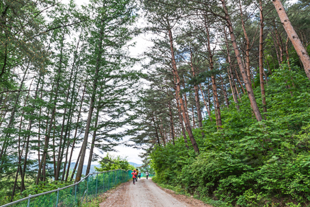 [충남] 리무진버스 - 이동기와 함께하는 한국판 산티아고 동서 트레일 47코스 당일