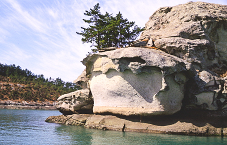 [전남] 리무진버스 - 여행비가 아깝지 않은 섬.  완도 금당도 금당8경 트래킹과 요트투어 1박2일