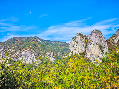 [경북] 리무진버스 - 수달래꽃의 대표명소 청송 주왕산과 주산저수지 당일