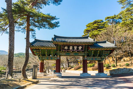 [경남] 리무진버스 -엽기적인 그녀 양산 오봉산과 한국 궁중꽃박물관 당일