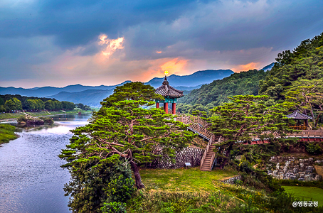 [특가]  39,900원에 1+1 (총 2명) 영동 영국사와 금강둘레길/영동 곶감축제  당일