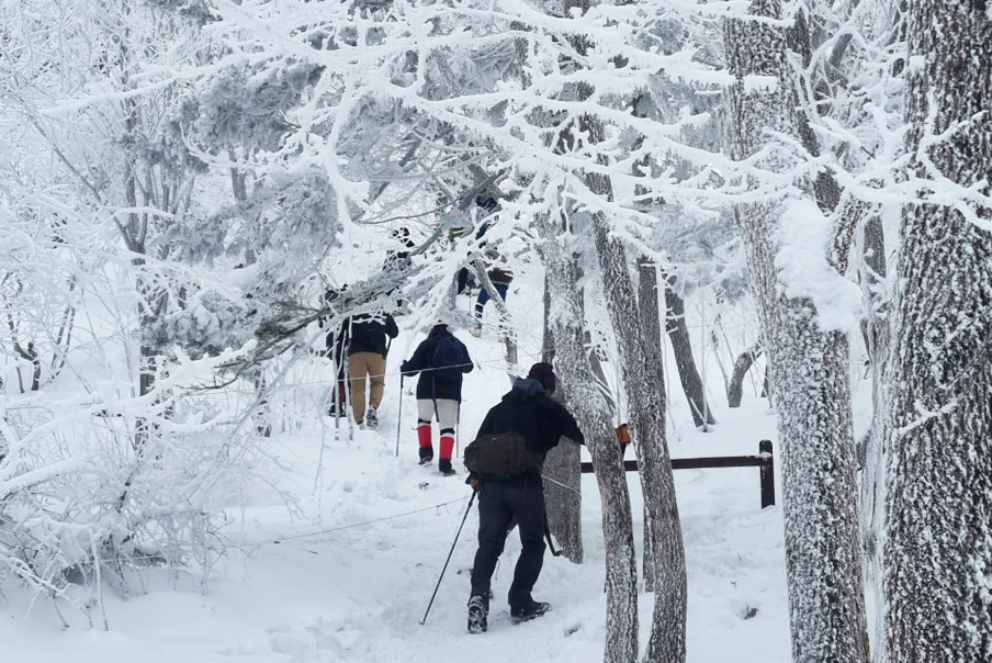 [강원] 태백 함백산/황지연못/검룡소 눈꽃여행 당일