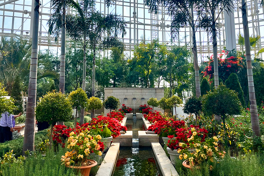 [특가] 엄지척 2개 국립세종수목원/대통령 기록전시관 /공주동학사(중식제공) 당일