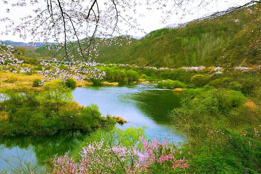 [전북] 리무진버스 - 굽이 굽이 강길따라 꽃길따라 무주 금강벼룻길과 잠두마을 옛길  (중식제공) 당일