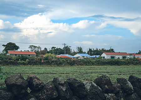 [제주올레길] 해바라기와 함께하는 제주 올레길 이어걷기 2박3일(3~5코스)