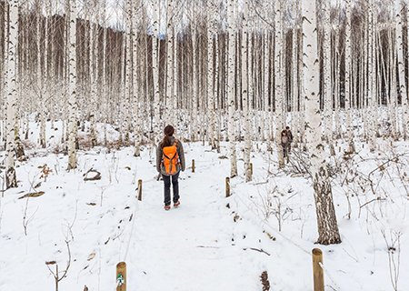 [강원] 백색의 귀족 - 인제 원대리 자작나무숲과 홍천 수타사 산소길 당일