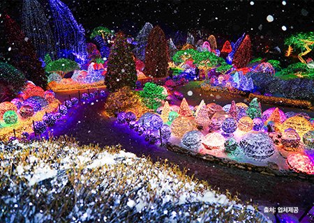 [경기] 가평 잣향기 숲 둘레길/두물머리와 아침고요수목원 오색별빛축제(입장료포함) 당일