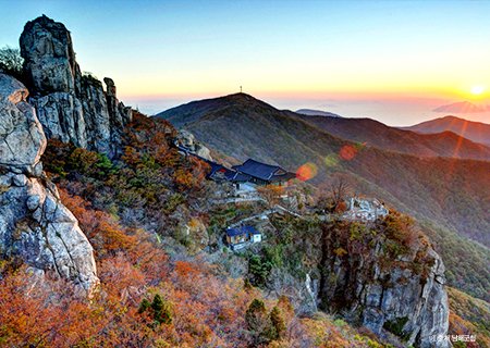 [경남] 리무진버스 - 신년해돋이 남해 보리암/다랭이 마을 여행 무박