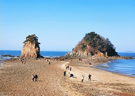 [충남] 리무진버스 - 이동기와 함께하는 한국판 산티아고 동서 트레일 1코스 당일