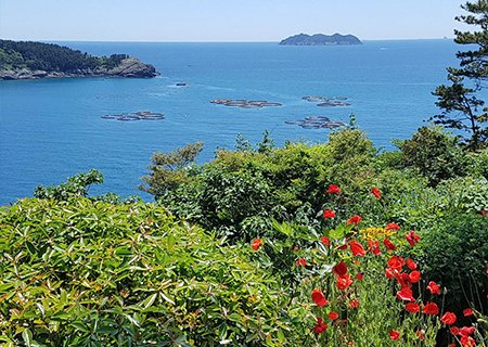 [설날-3.1절] 리무진버스 - 통영 욕지도(1-3 출렁다리와 대기봉)와 통영 미륵산 케이블카 1박2일