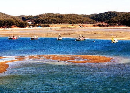 [충남] 리무진버스 - 이동기와 함께하는 한국판 산티아고 동서 트레일 2코스 당일