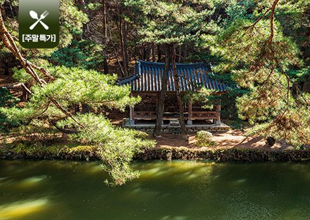 [30주년 사은행사] 리무진버스-영주 무섬마을/소수서원/천년고찰의 부석사 (중식제공) 당일