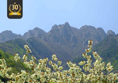 [30주년 사은행사]  이  요금으로 이런 여행이 돼?  대둔산 (왕복 케이블카)과 완주 예술열차에서 식사 당일