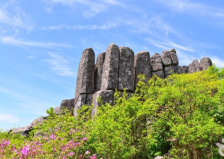 [전남] 리무진버스 - 광주 무등산 파릇파릇 봄 트래킹 당일