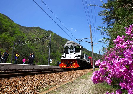[경북] 리무진버스 - 환상선 기차여행 봉화 세평하늘길(양원역-승부역) 오지 트래킹  (중식제공) 당일